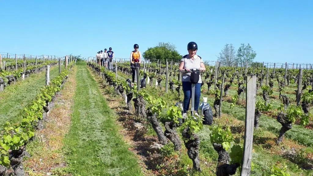 Sortie Oenologie à travers les vignes en gyropode - Perpignan Expériences