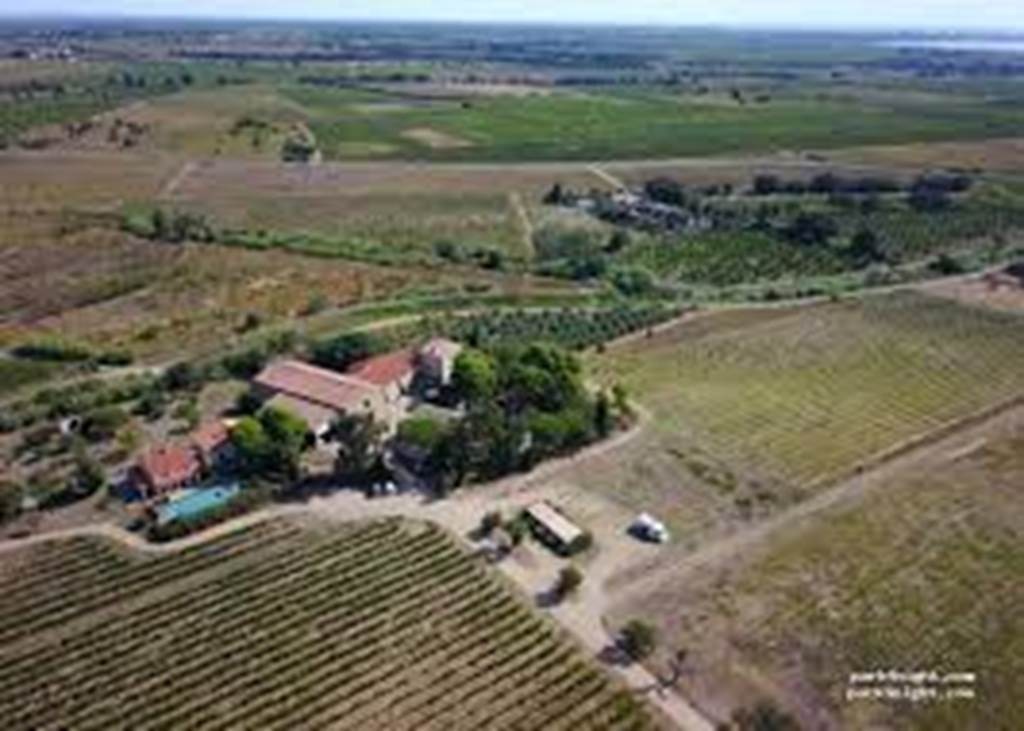 Sortie Oenologie à travers les vignes en gyropode - Perpignan Expériences