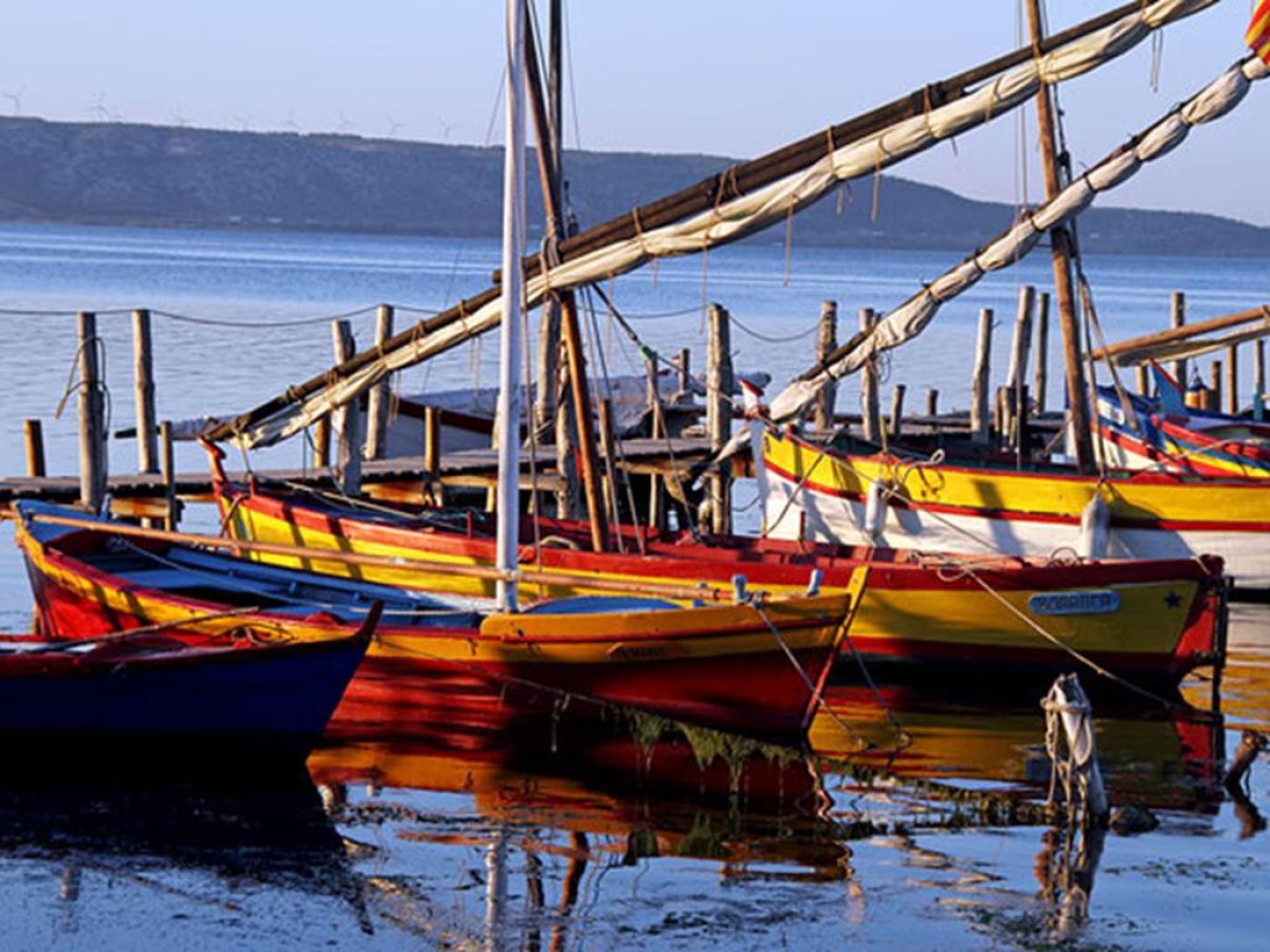  - Perpignan Expériences