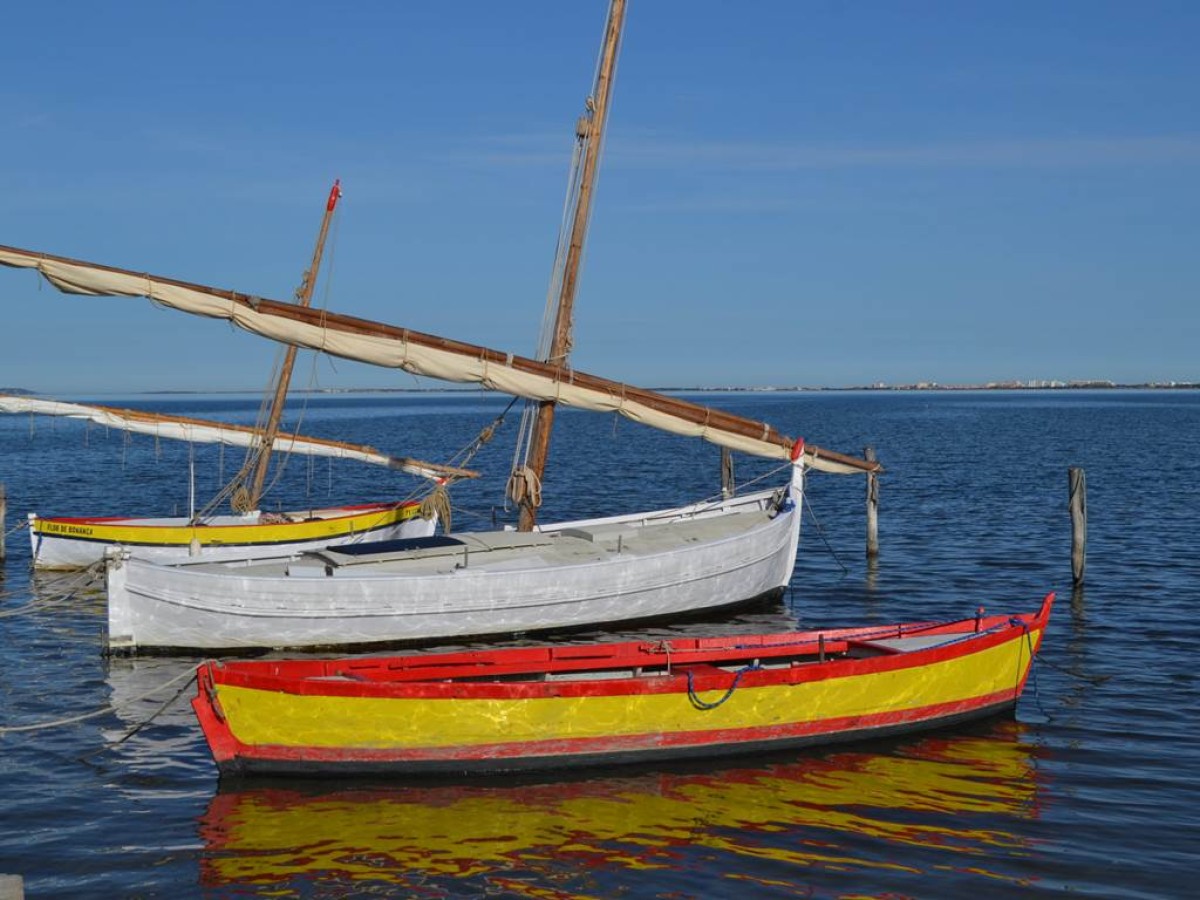  - Perpignan Expériences