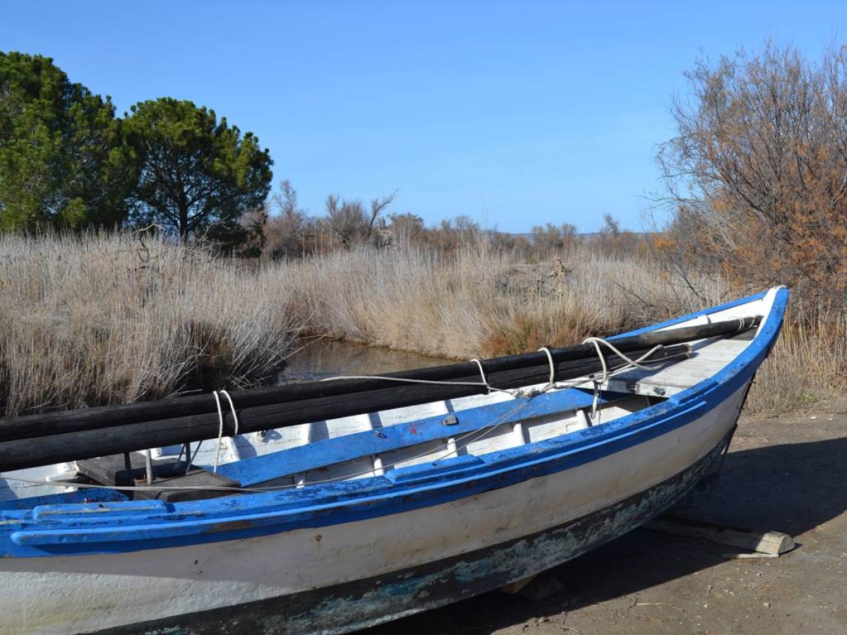  - Perpignan Expériences