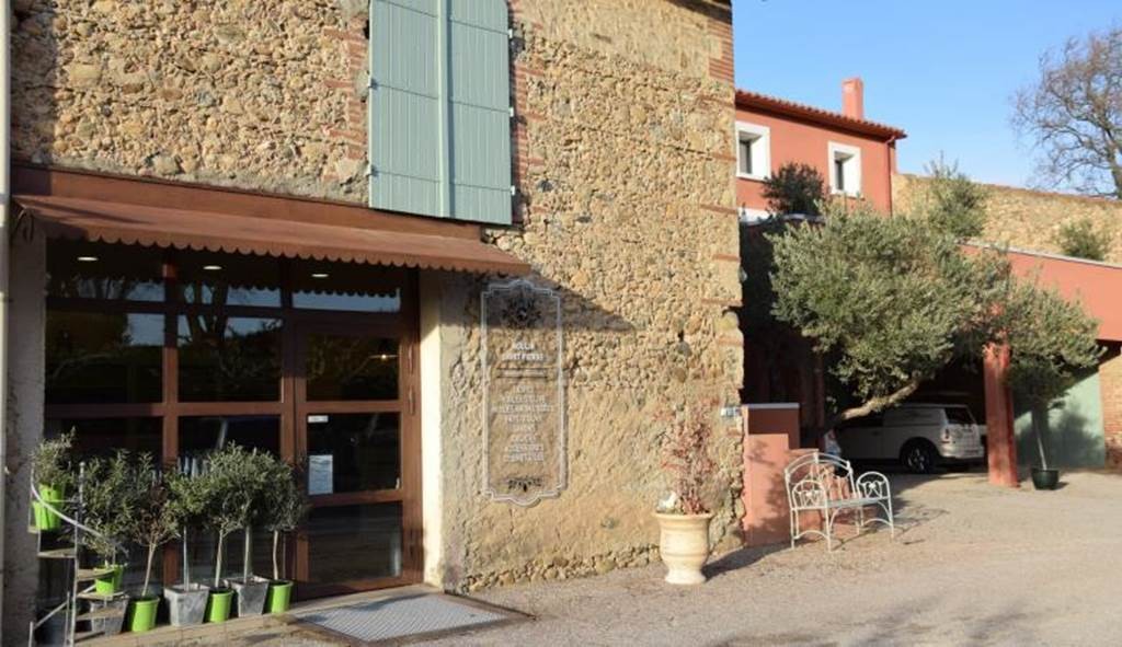 Une promenade originale Public - Perpignan Expériences