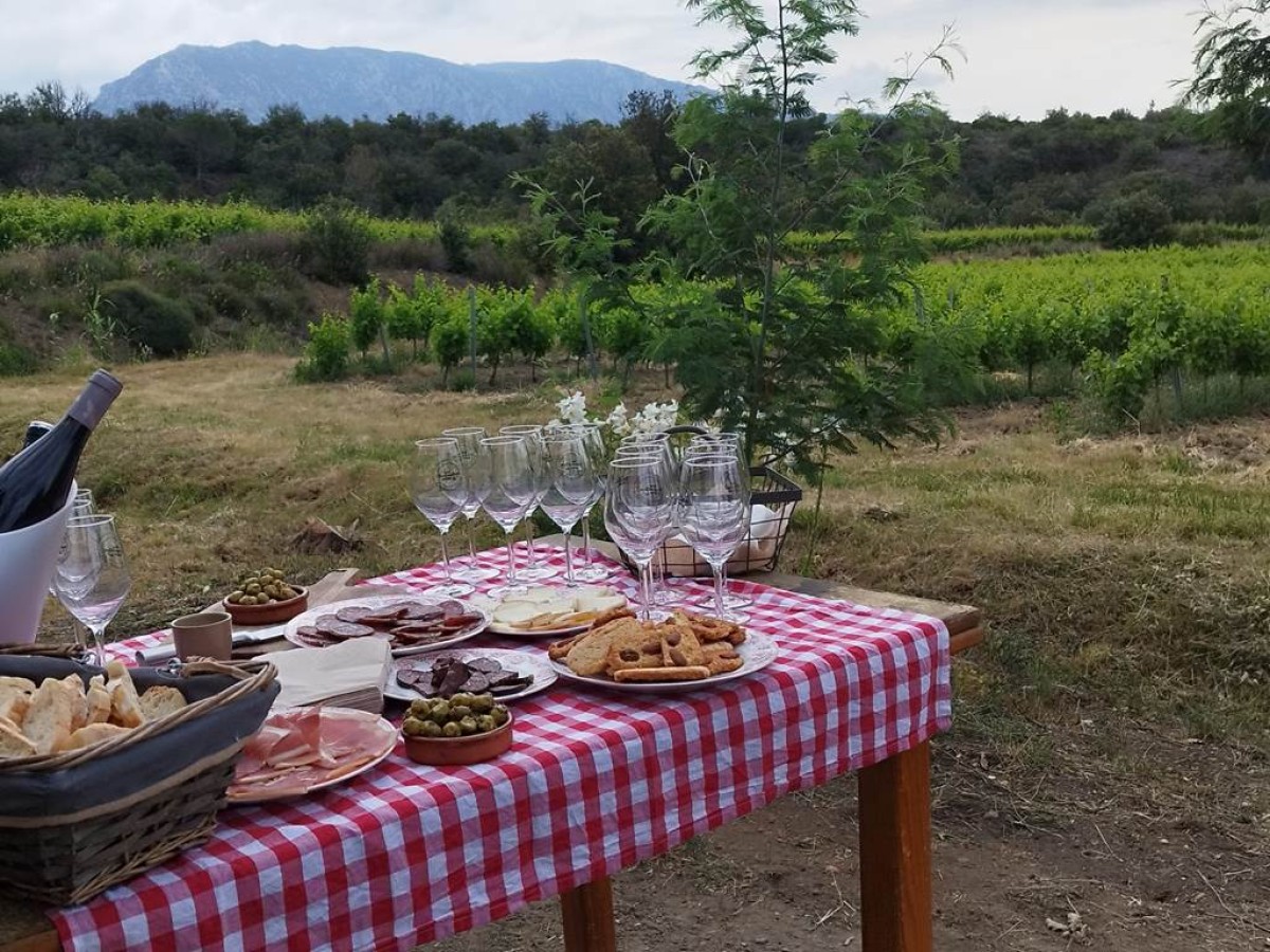 Winemaker for a Day in Saint-Paul-de-Fenouillet - Perpignan Expériences
