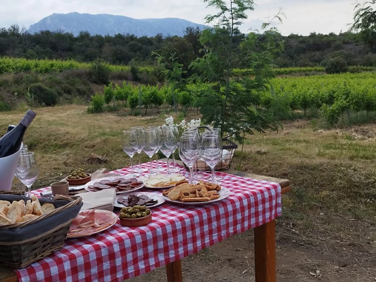 Winemaker for a Day in Saint-Paul-de-Fenouillet - Perpignan Expériences