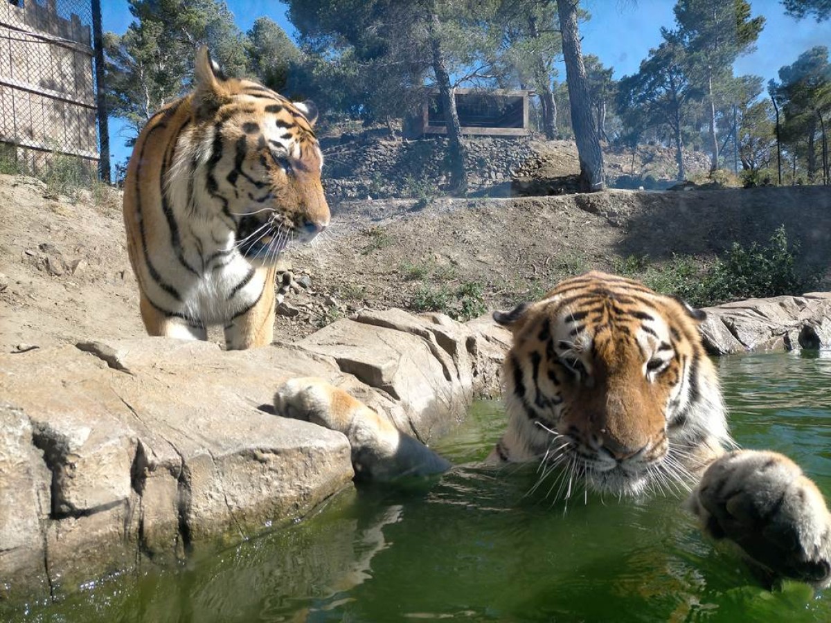 Visite de l ÉCOPARC animalier - Perpignan Expériences