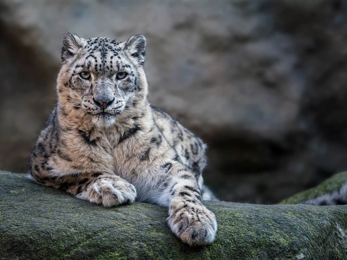 Visite de l ÉCOPARC animalier - Perpignan Expériences