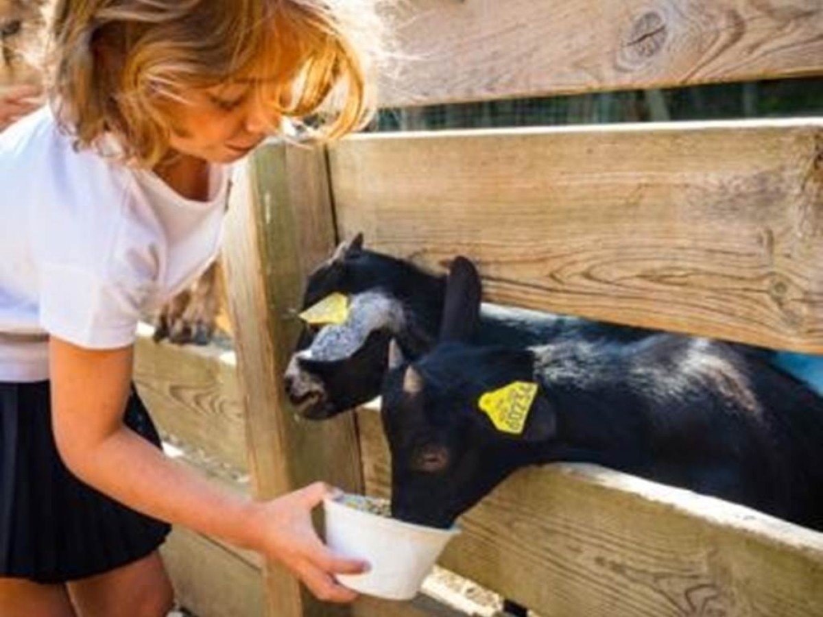 Visite de la ferme adulte - Perpignan Expériences