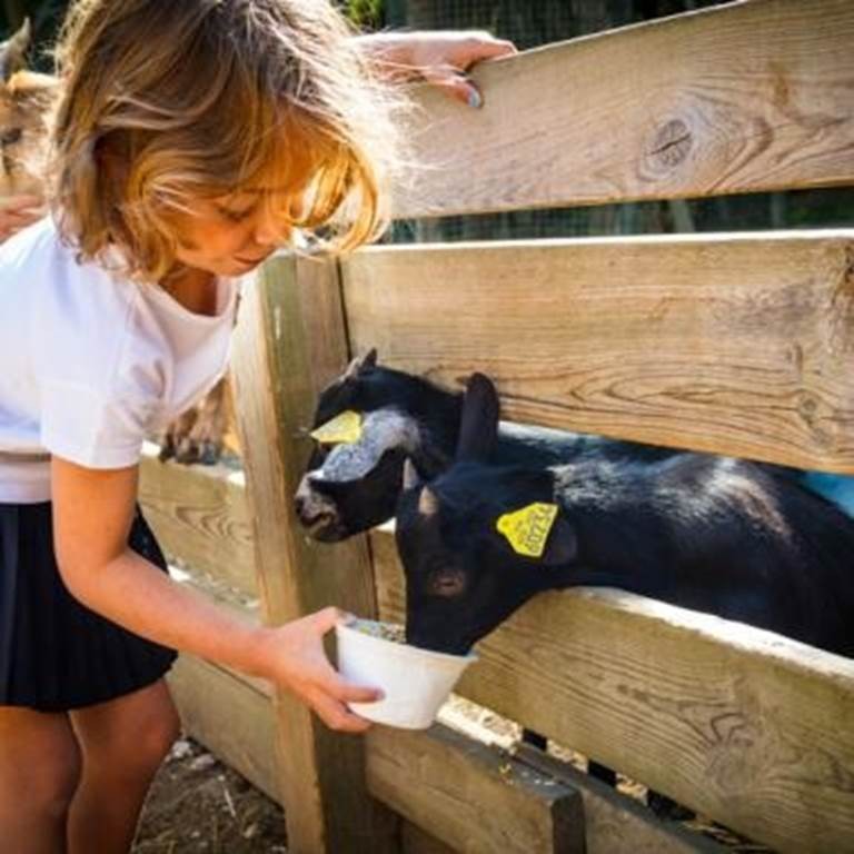 Visite de la ferme enfant - Perpignan Expériences