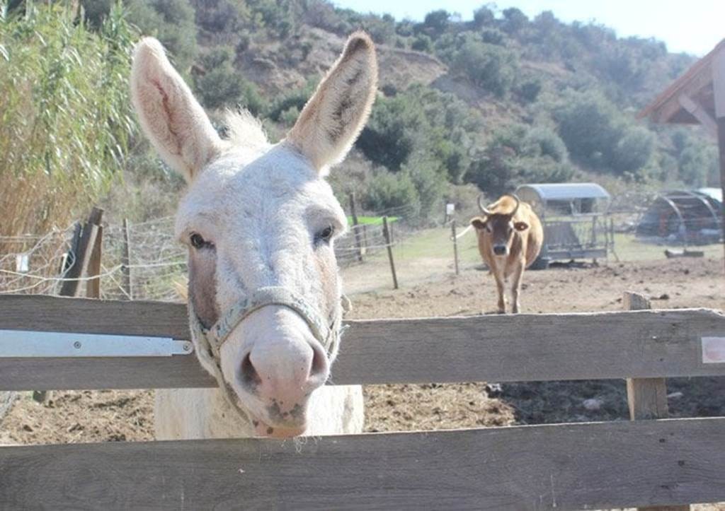  - Perpignan Expériences