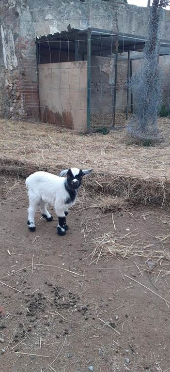  - Perpignan Expériences