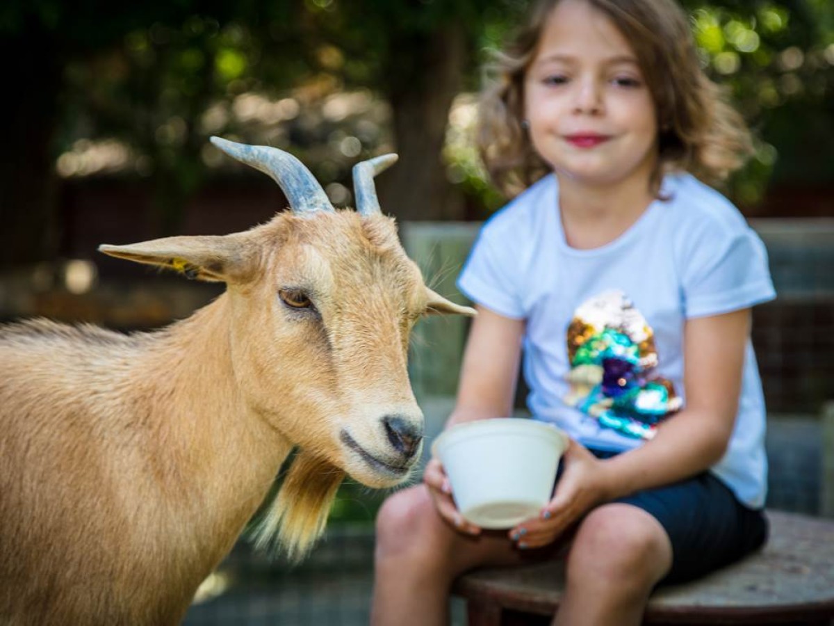 Visite de la ferme public specifique - Perpignan Expériences