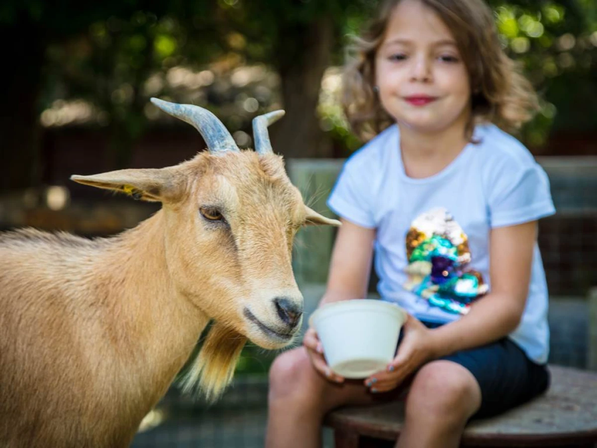 Visite de la ferme public specifique - Perpignan Expériences