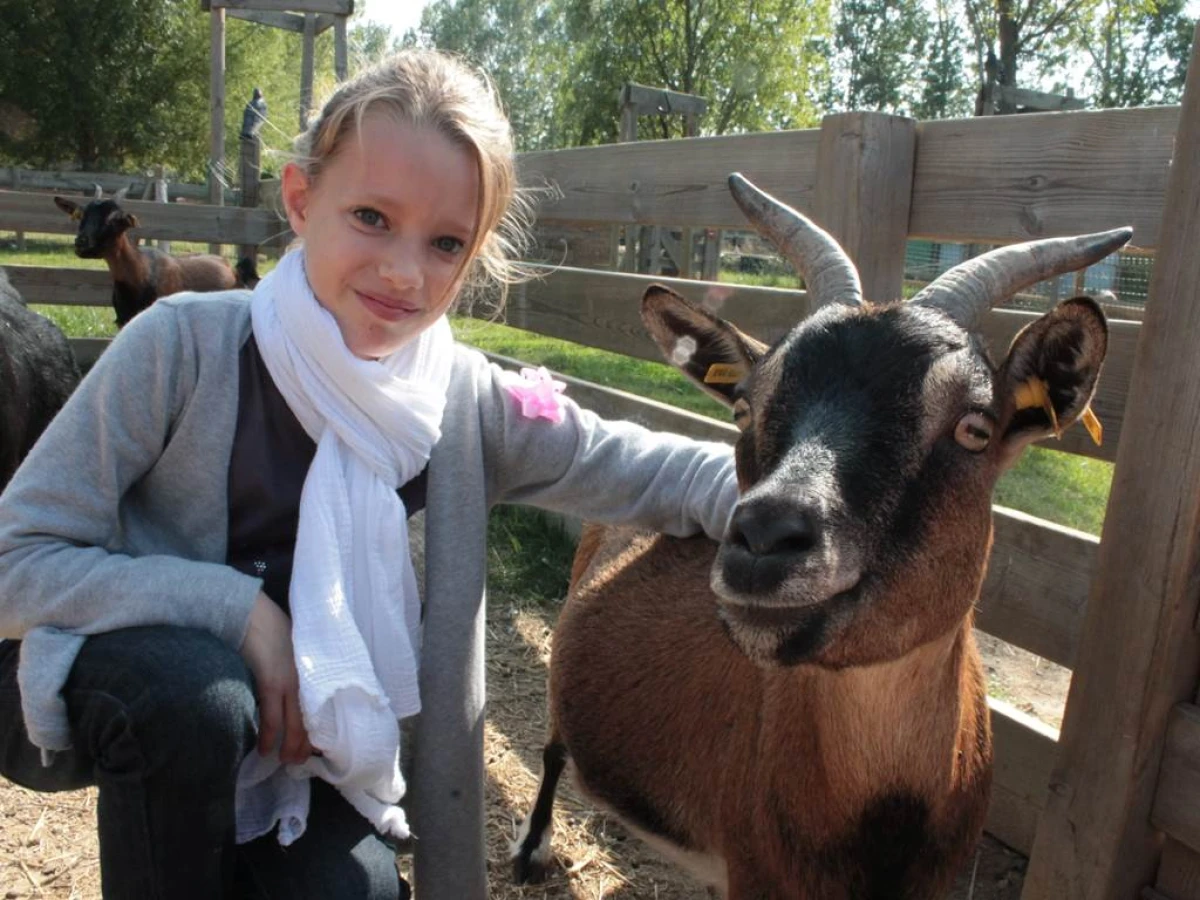 Visite de la ferme public specifique - Perpignan Expériences